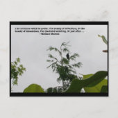 Carte Postale Citation de Wallace Stevens (Devant)