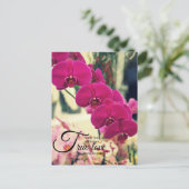 Carte Postale Citation d'inspiration romantique (Debout devant)