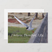 Carte Postale Citation d'oiseaux en vol (Devant / Derrière)