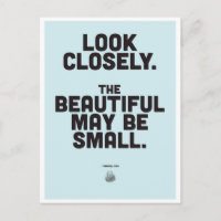 Citation Inspirationnelle Emmanuel Kant