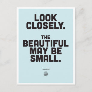 Carte Postale Citation Inspirationnelle Emmanuel Kant