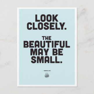 Carte Postale Citation Inspirationnelle Emmanuel Kant