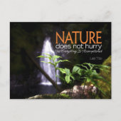 Carte Postale Citation Inspirationnelle Lao Tsu "Nature" (Devant)