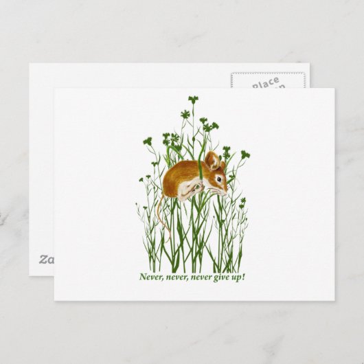 Carte Postale Citation Motivationnelle de souris mignonne N'aban (Devant / Derrière)