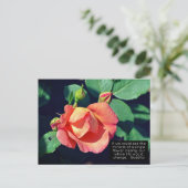 Carte Postale Citation Motivationnelle Rose rose (Debout devant)