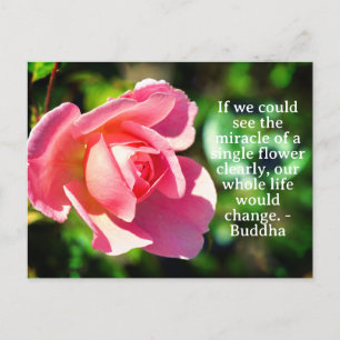 Carte Postale Citation Motivationnelle Rose rose