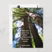 Carte Postale Citation Muir de Redwood Trees (Devant / Derrière)