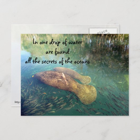 Carte postale Citation Ocean (Devant / Derrière)