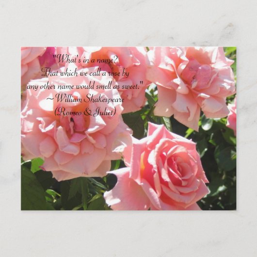 Carte postale Citation Shakespeare Roses roses ros (Devant)