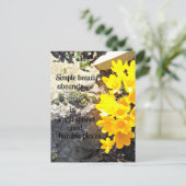 Carte Postale Citation sur la découverte de la beauté tout autou (Debout devant)