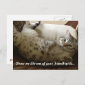 Carte Postale Citation Titanic Kitty (Devant / Derrière)