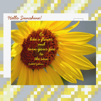 Carte Postale Citation Tournesol Sois comme une Fleur Photograph