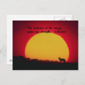 Carte Postale Citations amérindiennes (Devant / Derrière)