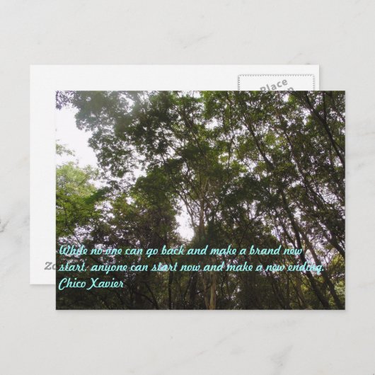 Carte Postale Citations de Chico Xavier (Devant / Derrière)