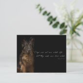 Carte Postale "citations de chien" (Debout devant)