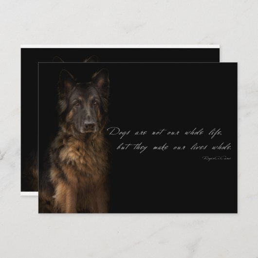 Carte Postale "citations de chien" (Devant / Derrière)