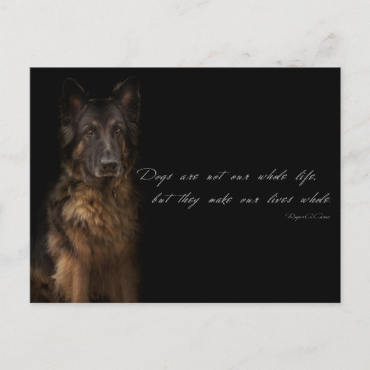 Carte Postale "citations de chien" (Devant)