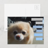 Carte Postale Citations de Winnie (Devant / Derrière)