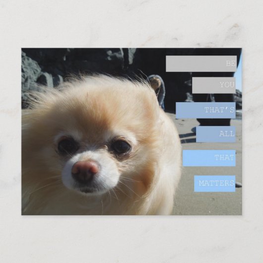 Carte Postale Citations de Winnie (Devant)