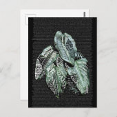 Carte Postale Citations Inspiration Motivational LIFE (Devant / Derrière)