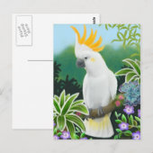 Carte postale Citron Cockatoo (Devant / Derrière)