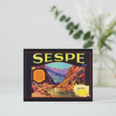 Carte Postale Citron de Sespe (Debout devant)