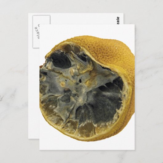 Carte Postale Citron vert (Devant / Derrière)