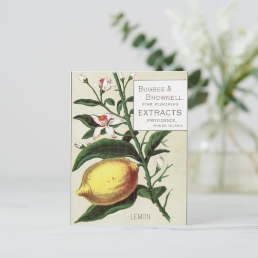 Carte Postale Citron vintage (Debout devant)