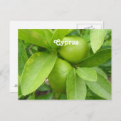 Carte Postale Citronnier (Devant / Derrière)