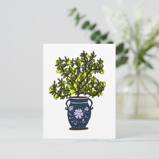 Carte Postale Citronnier (Debout devant)