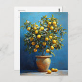 Carte Postale Citronnier en pot de terre avec fleurs (Devant / Derrière)