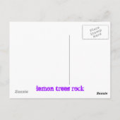 Carte Postale citronniers rocher (Dos)