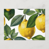 Carte Postale Citrons (Dos)