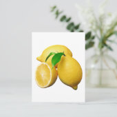 Carte Postale Citrons (Debout devant)