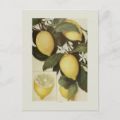 Carte Postale Citrons (Devant)