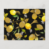 Carte Postale citrons d'aquarelle 31 (Dos)