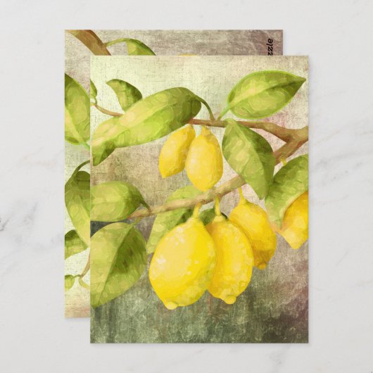 Carte Postale Citrons en peinture   (Devant / Derrière)