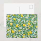 Carte Postale Citrons et fleurs blanches (Devant / Derrière)