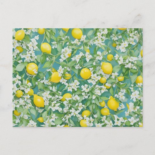 Carte Postale Citrons et fleurs blanches (Devant)