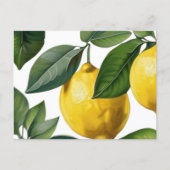 Carte Postale Citrons Été (Devant)