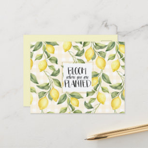 Carte Postale Citrons Jaunes Chic Floraison