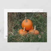 Carte Postale Citrouille (Devant / Derrière)