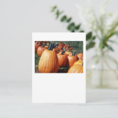 Carte Postale Citrouille (Debout devant)