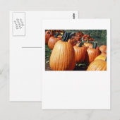 Carte Postale Citrouille (Devant / Derrière)