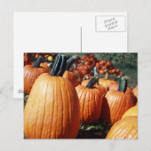 Carte Postale Citrouille (Devant / Derrière)