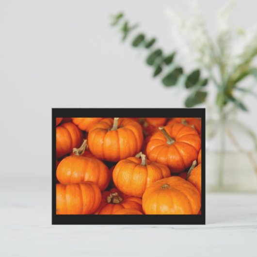 Carte Postale Citrouille (Debout devant)