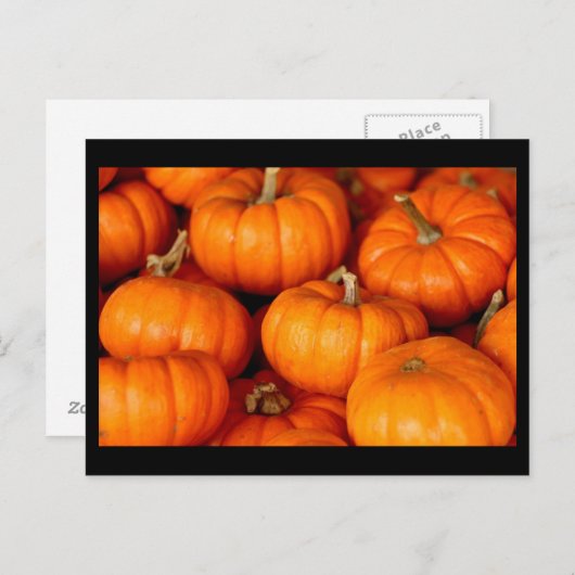 Carte Postale Citrouille (Devant / Derrière)