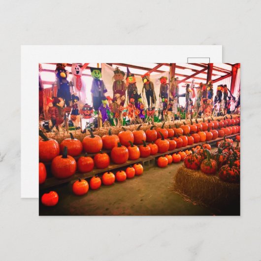 Carte postale citrouille (Devant / Derrière)