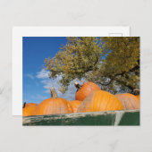 Carte Postale Citrouille (Devant / Derrière)