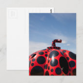 Carte Postale Citrouille (Devant / Derrière)